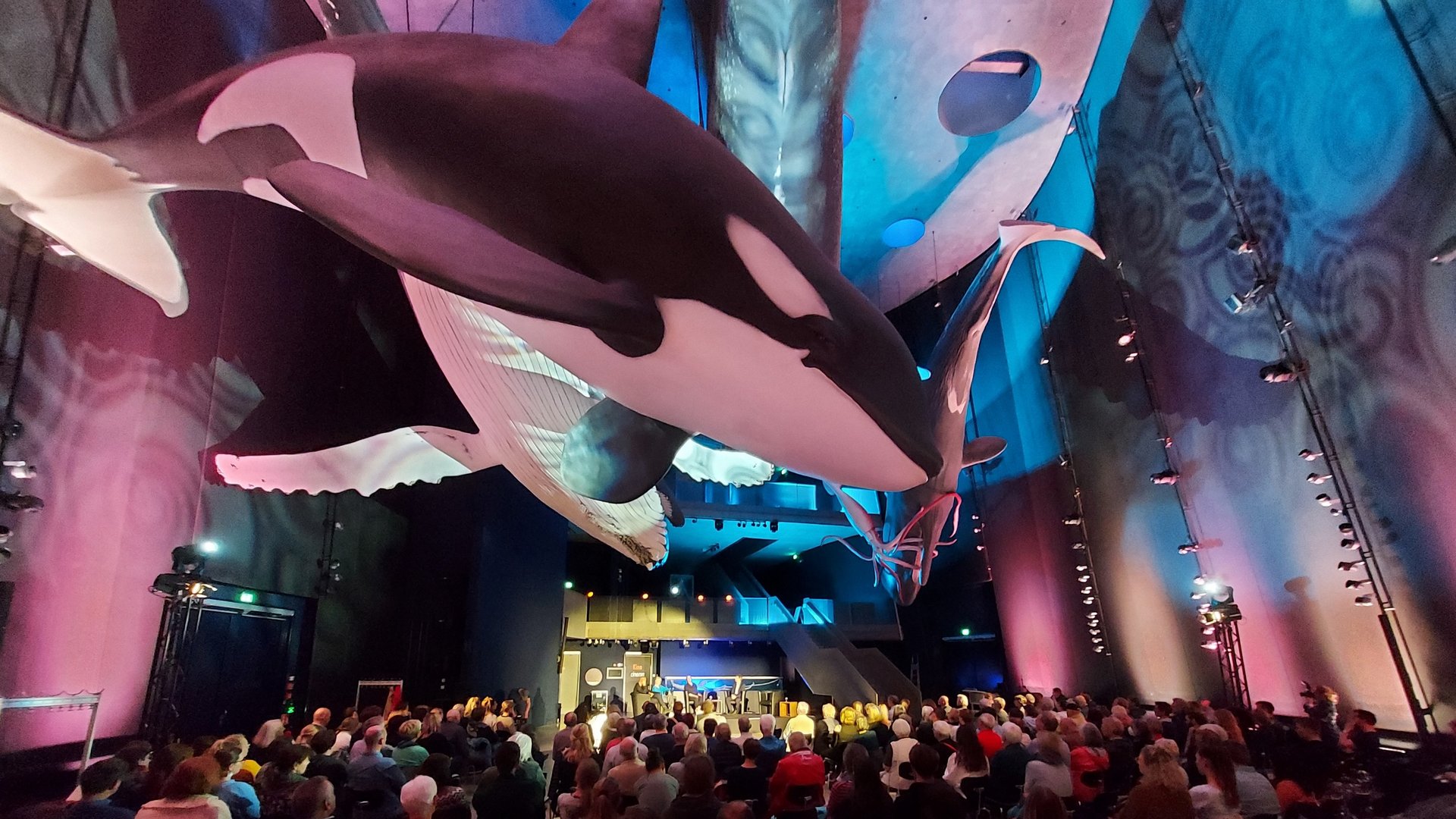 Viele Menschen in einem Raum bei einer Diskussion