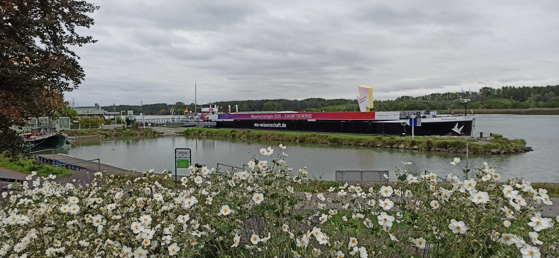 Schiff mit der Aufschrift "Wissenschaftsjahr 2025 – Zukunftsenergie" liegt an einem begrünten Steg vor Anker