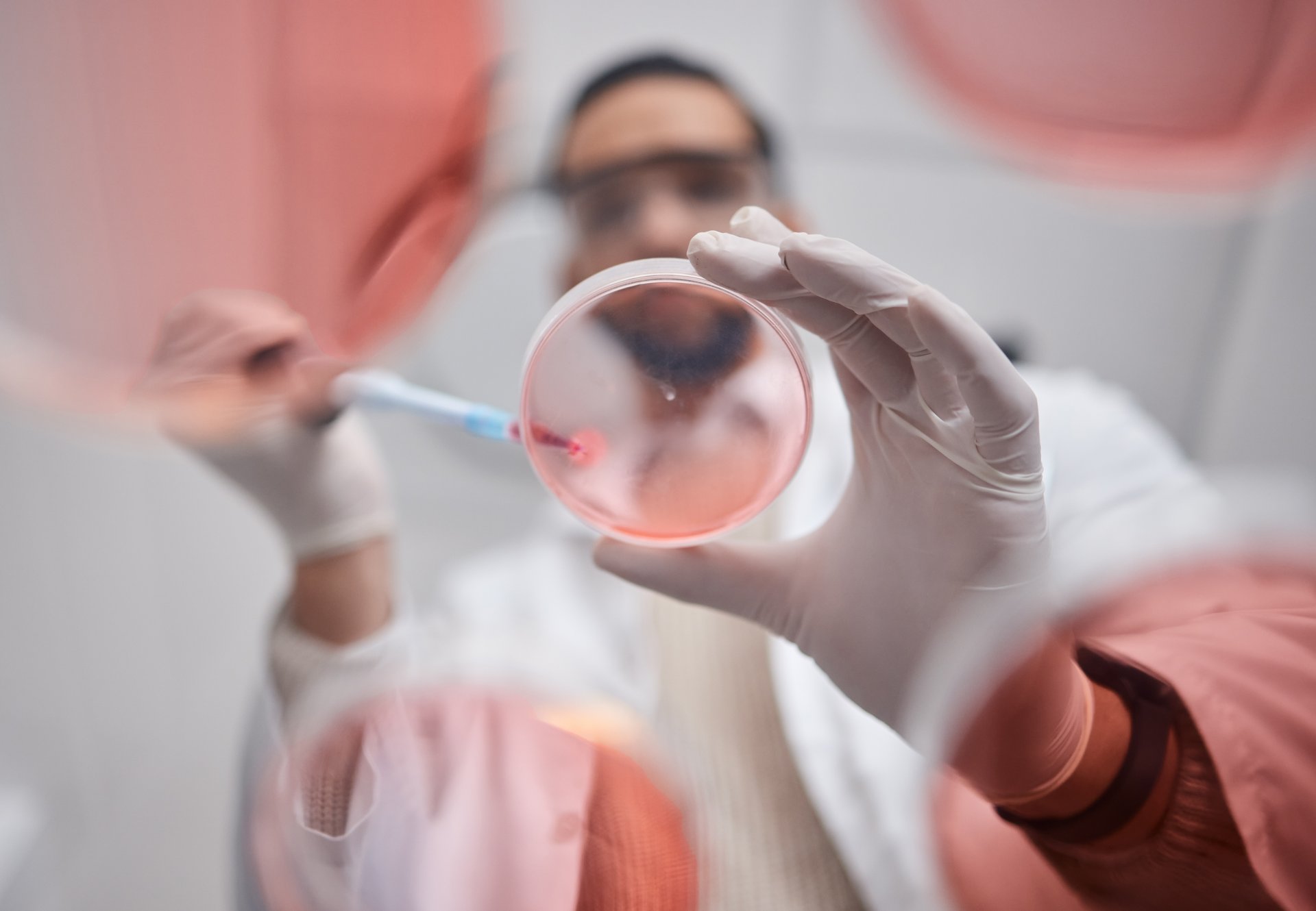 WJ26_Medizinforschung_Petrischale Eine Medizinforscherin gibt mit einer Pipette eine Probe in eine Petrischale.