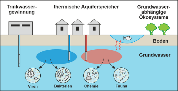 Risiken_Nebenwirkungen Infografik über Trinkwassergewinnung und thermische Aquiferspeicher. Zeigt Wasserquellen, Häuser, und Symbole für Viren, Bakterien, Chemie und Fauna.