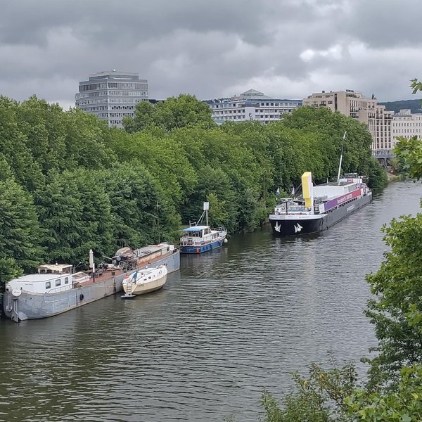Luftaufnahme von vier Schiffen und Booten, die an einem stark begrünten Ufer vor Anker liegen