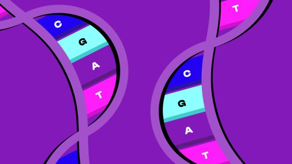 An DNA erinnernde Stränge mit den Buchstaben F, E, D und C in der Mitte.