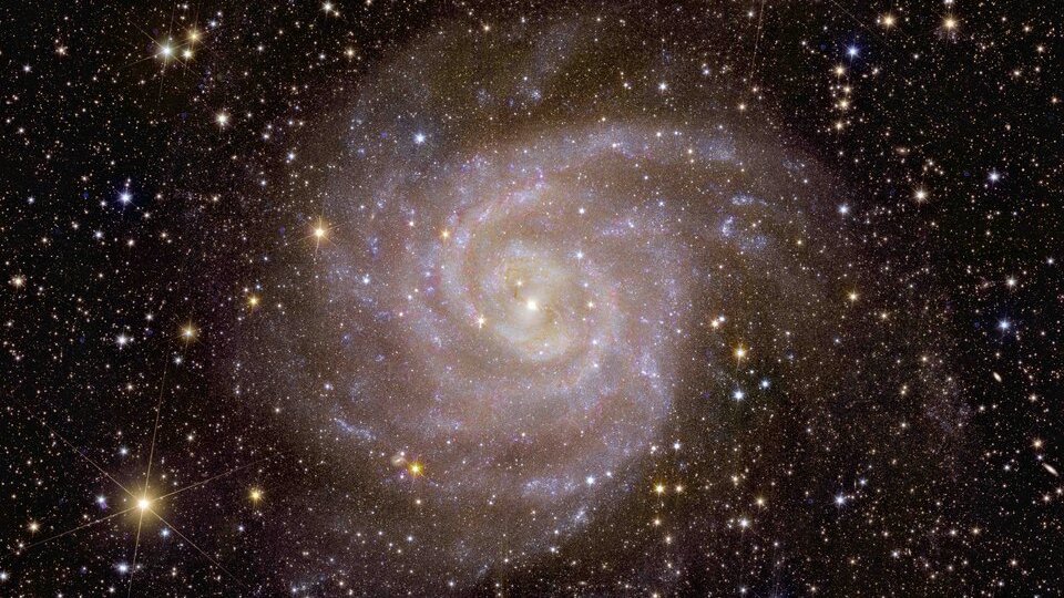 Eine blass bläulich leuchtende Spirale und viele helle Sterne vor schwarzem Hintergrund.