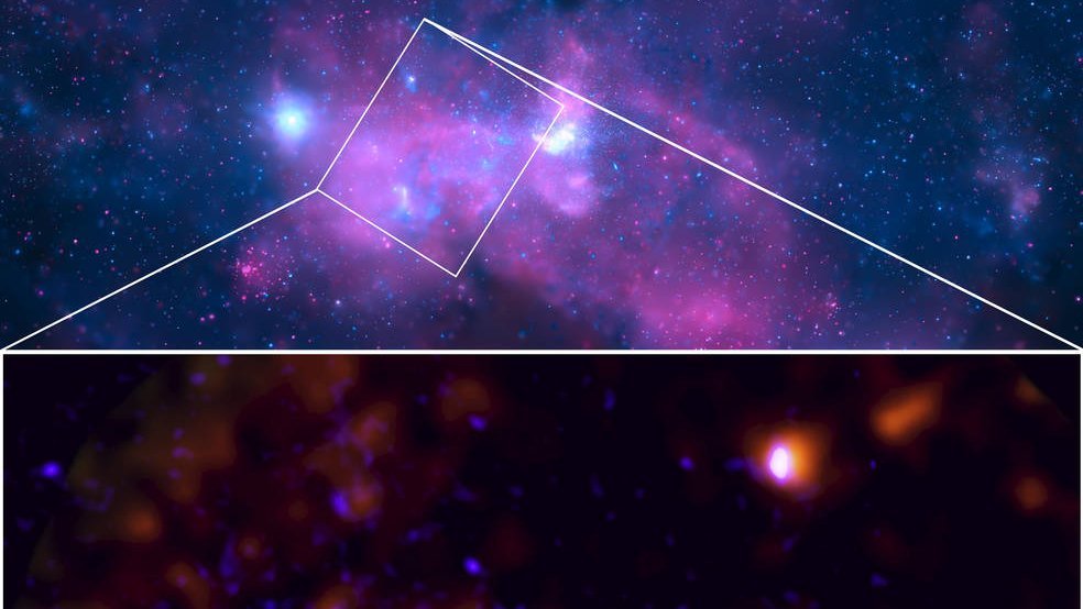 Rot-orange Flecken, überzogen mit kleineren bläulichen Flecken