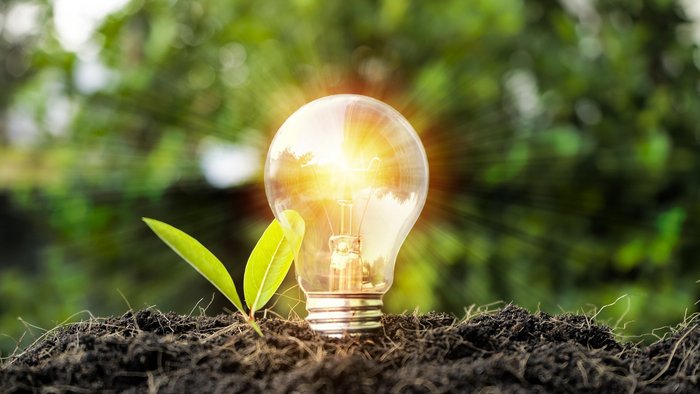 Foto einer leuchtenden Glühbirne neben einem Pflanzenspross in der Erde.