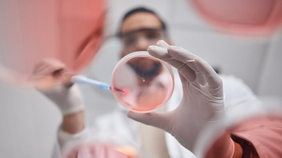 Eine Medizinforscherin gibt mit einer Pipette eine Probe in eine Petrischale.