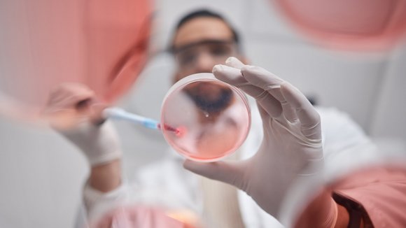 Eine Medizinforscherin gibt mit einer Pipette eine Probe in eine Petrischale.