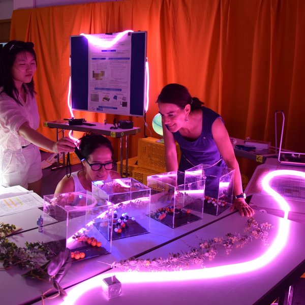 Drei junge Frauen beugen sich über einen Tisch mit chemischen Modellen.